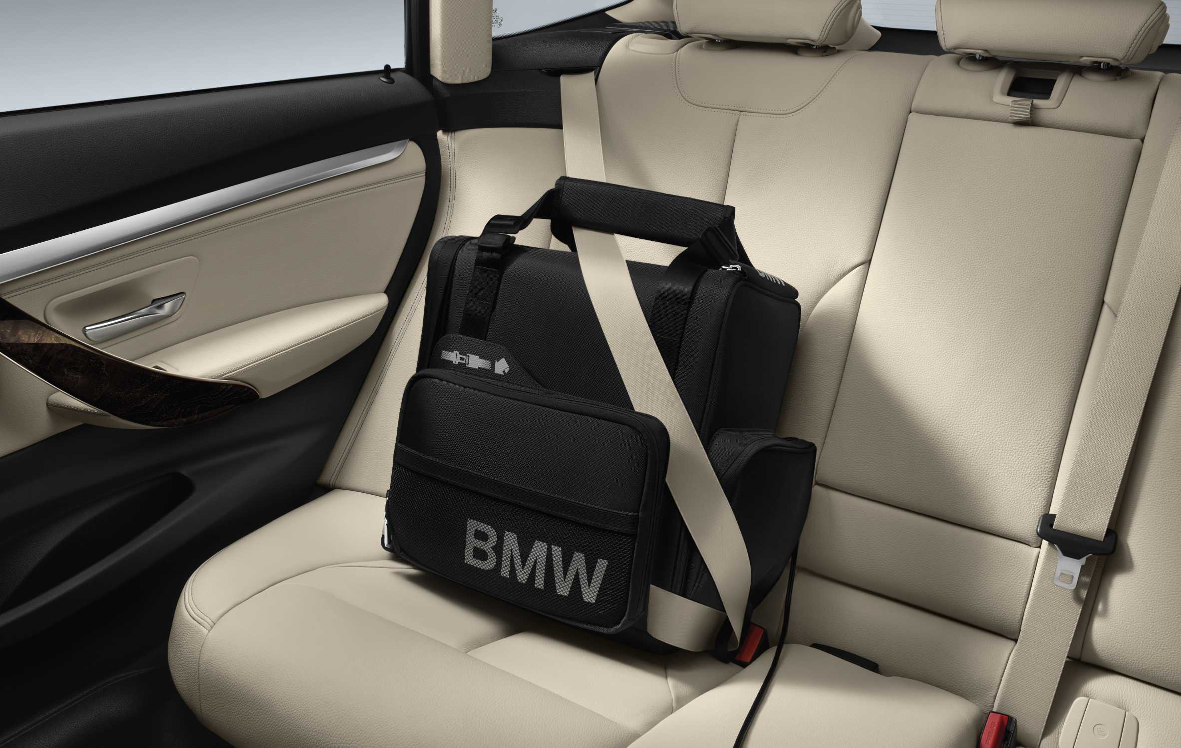 electric cooler bag for car