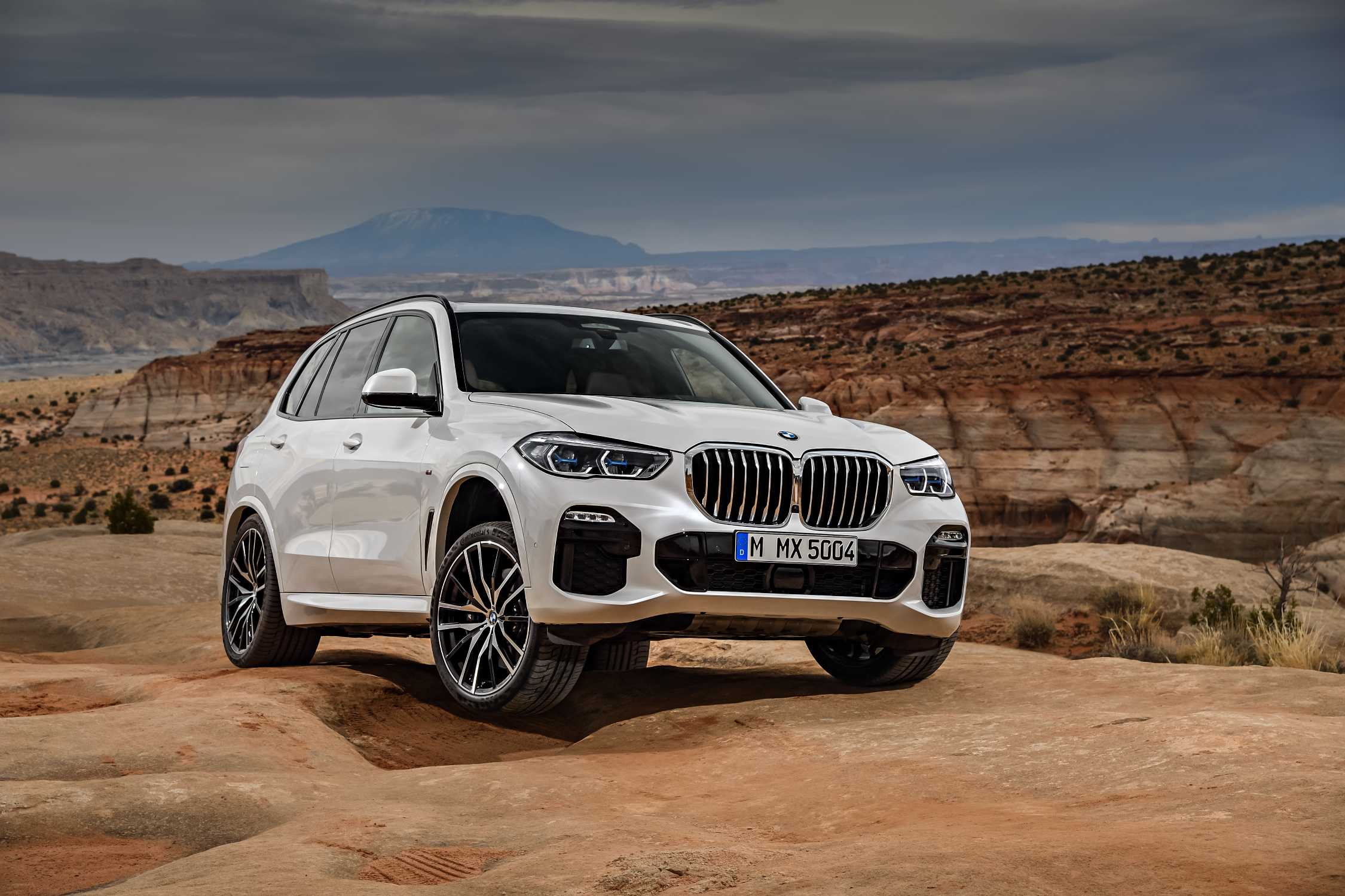 The all-new BMW X5 (06/2018).