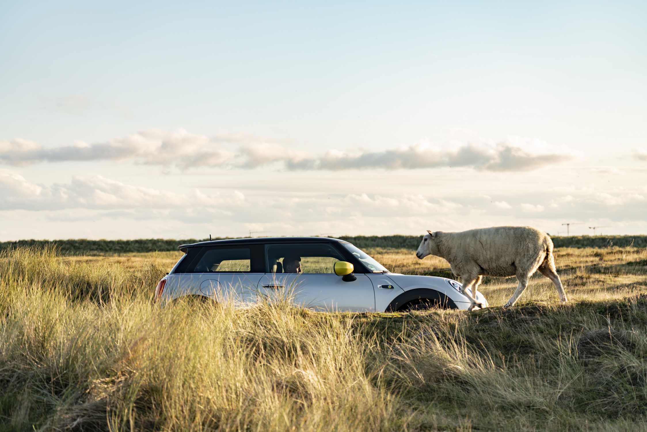 MINI Cooper SE - Electric driving fun on the North Sea coasts. (10/19)