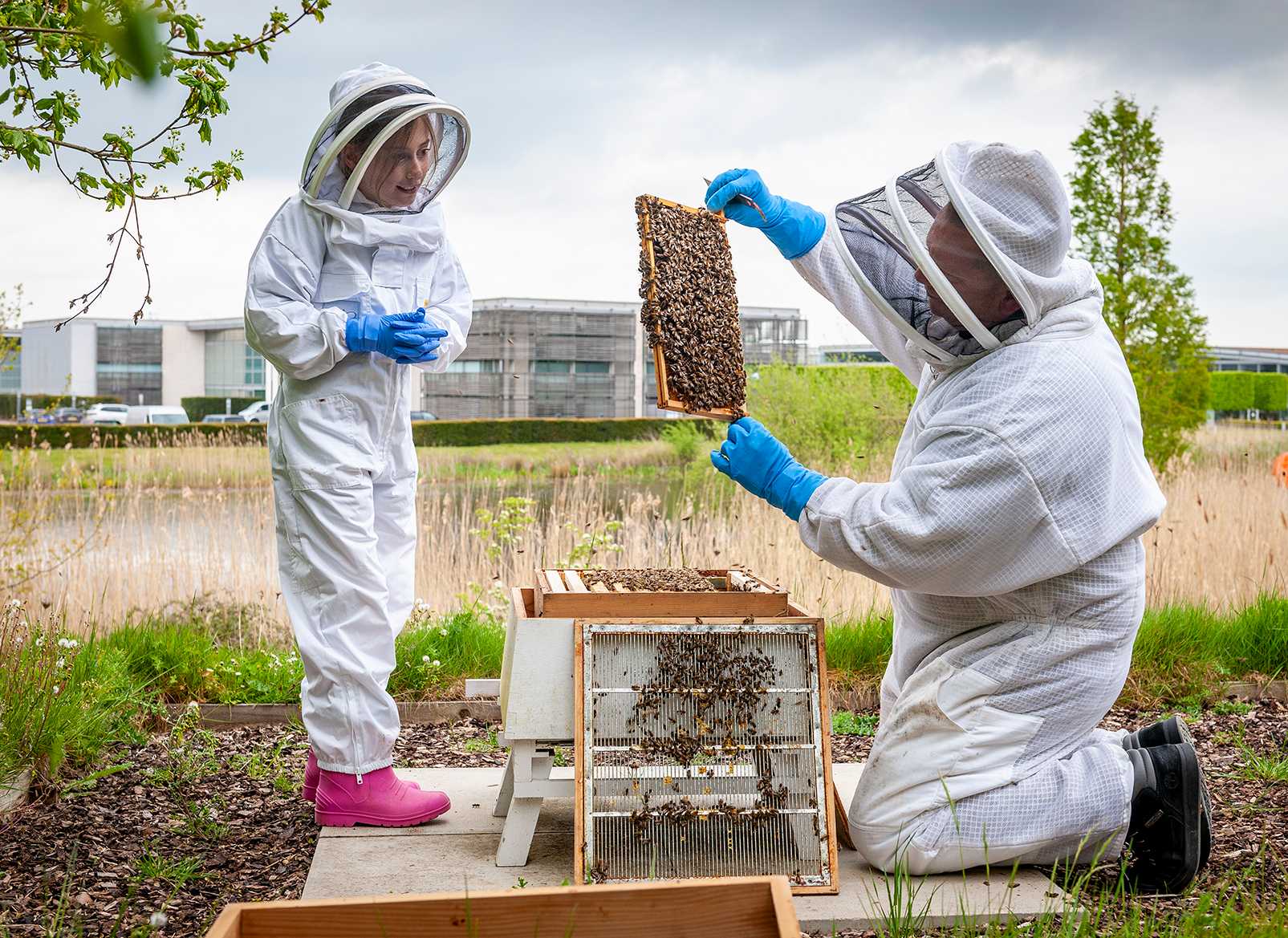 https://mediapool.bmwgroup.com/cache/P9/202105/P90422830/P90422830-rolls-royce-appoints-poppy-liddle-as-first-ever-junior-beekeeper-1605px.jpg