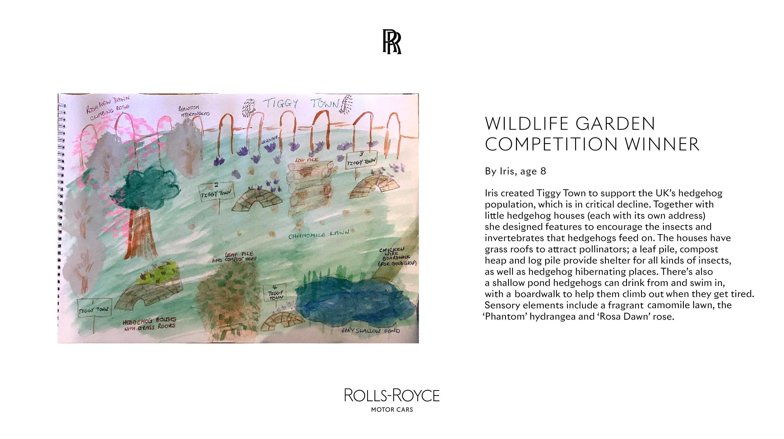 ROLLS-ROYCE WILDLIFE GARDEN COMPETITION WINNER. IRIS, AGE 8