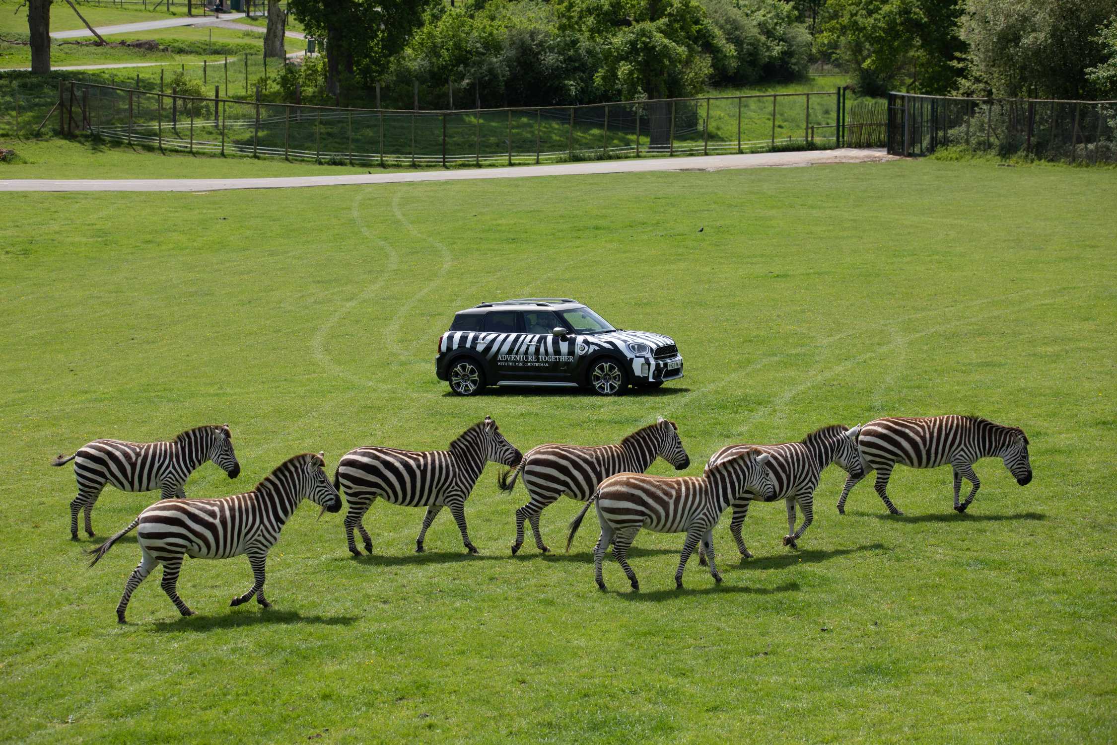 longleat safari vehicle restrictions