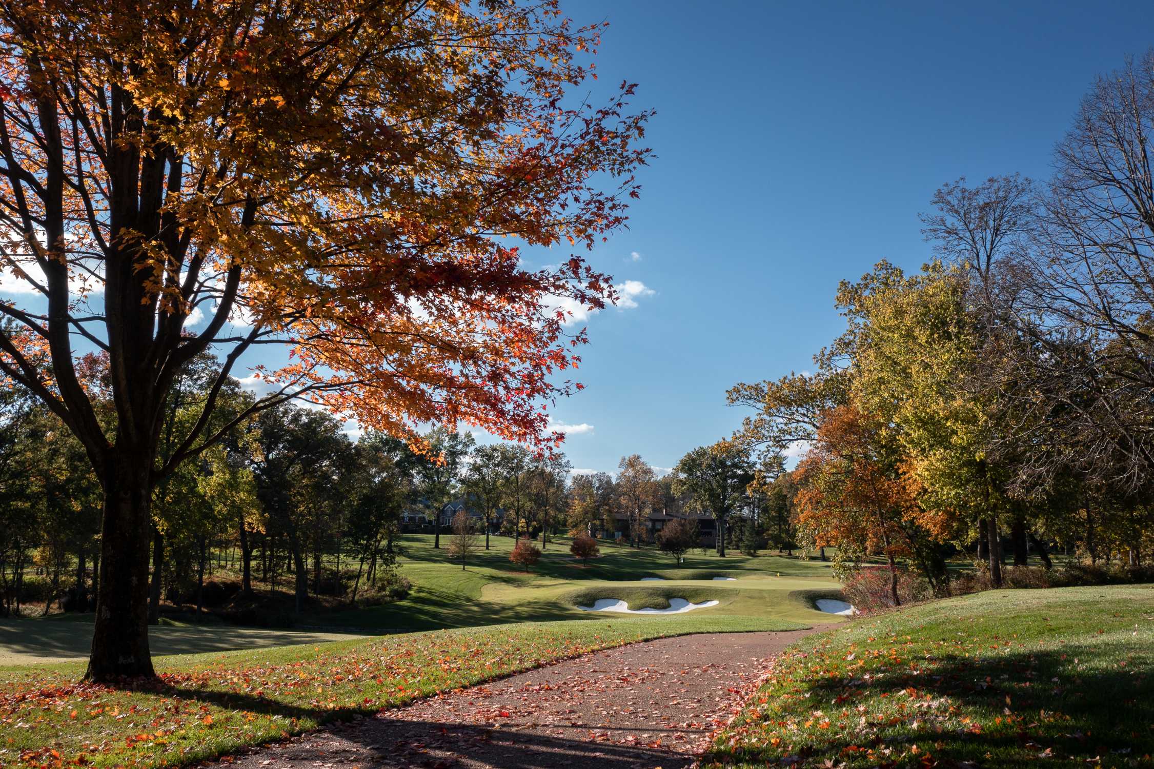 PGA TOUR, Western Golf Association, and BMW Announce BMW Championship