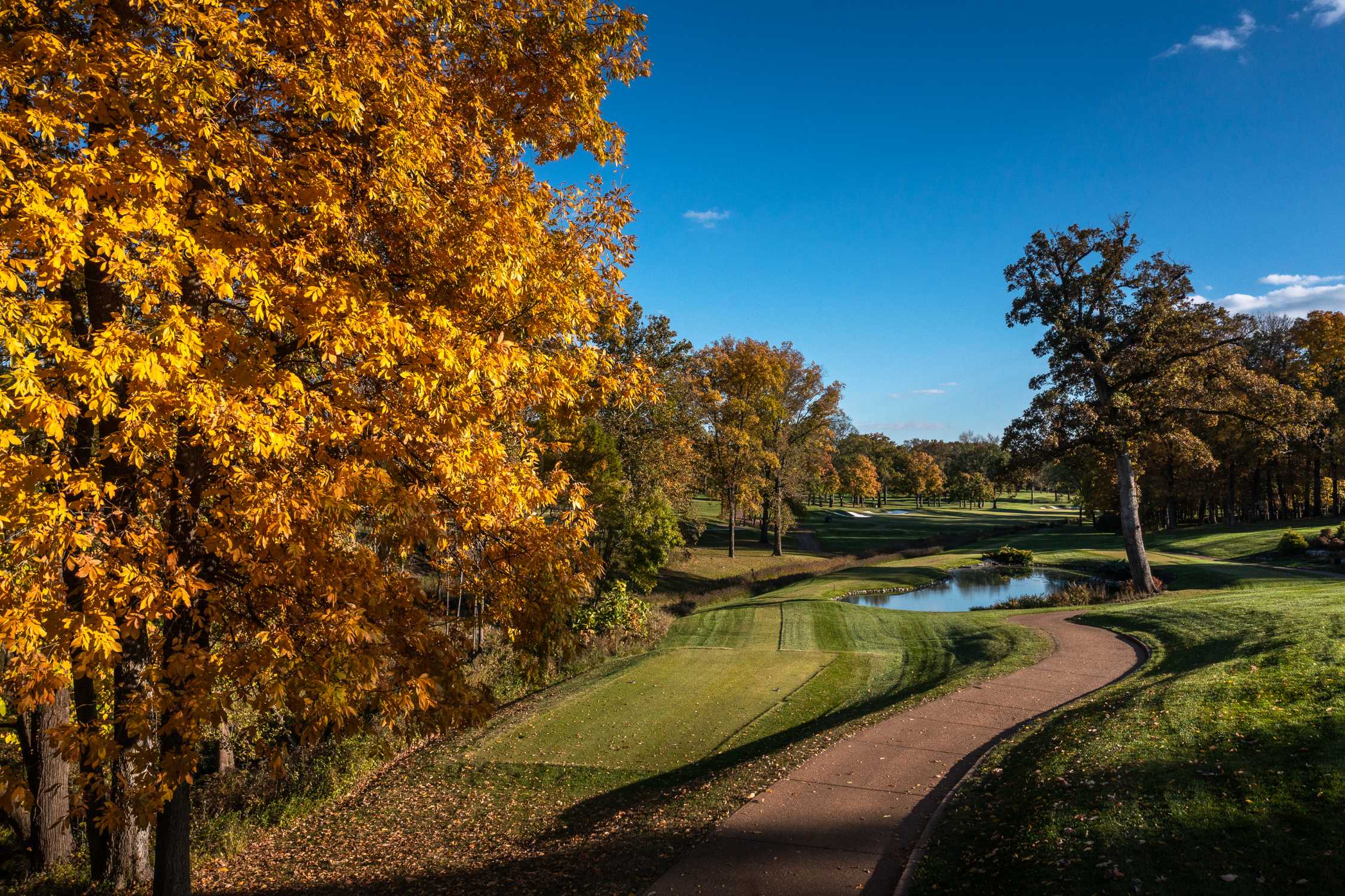 PGA TOUR, Western Golf Association, and BMW Announce BMW Championship