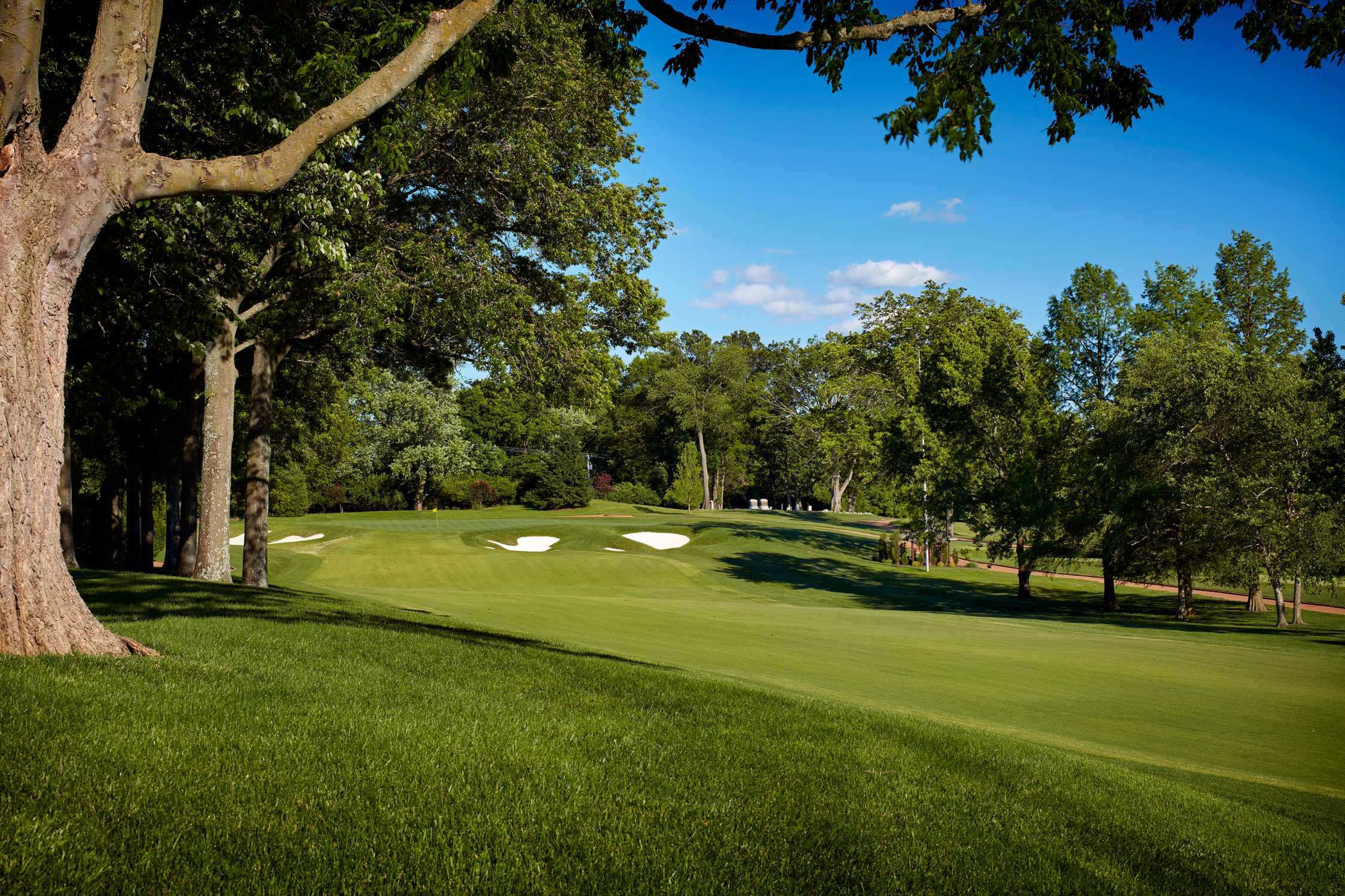 PGA TOUR, Western Golf Association, and BMW Announce BMW Championship