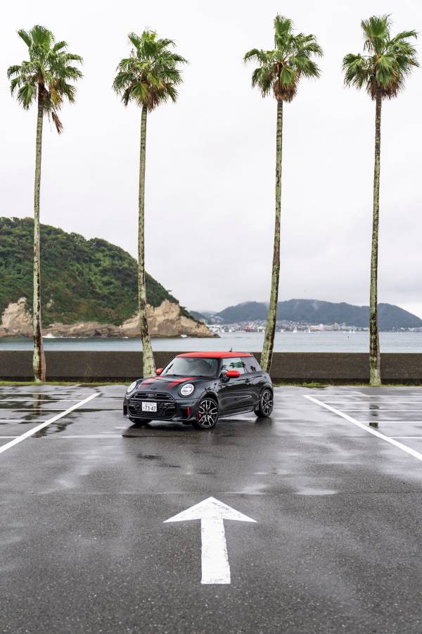 3D printed window guide rail BMW i8 Roadster (11/2018)