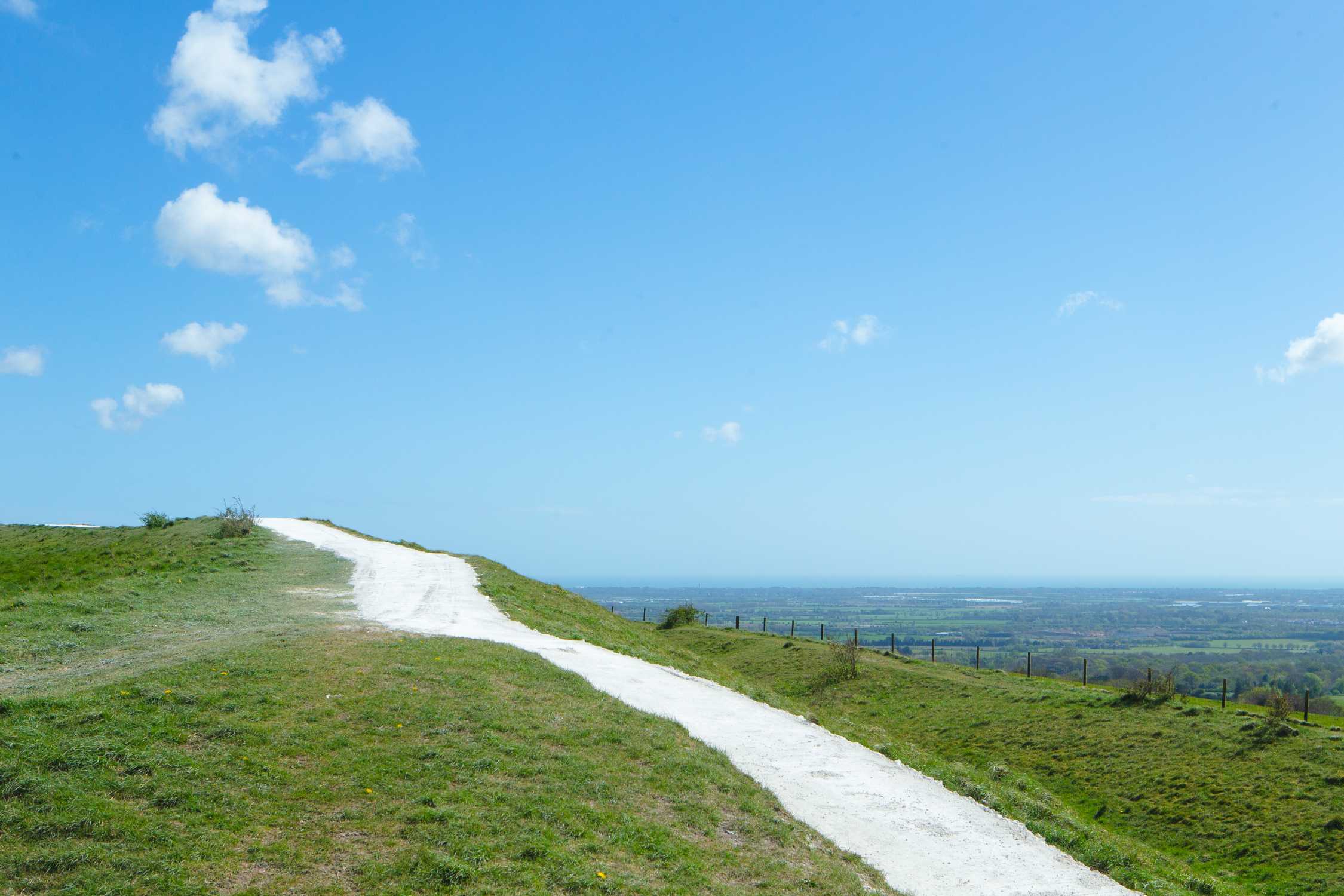 CONSERVATION WORK AT THE GOODWOOD TRUNDLE