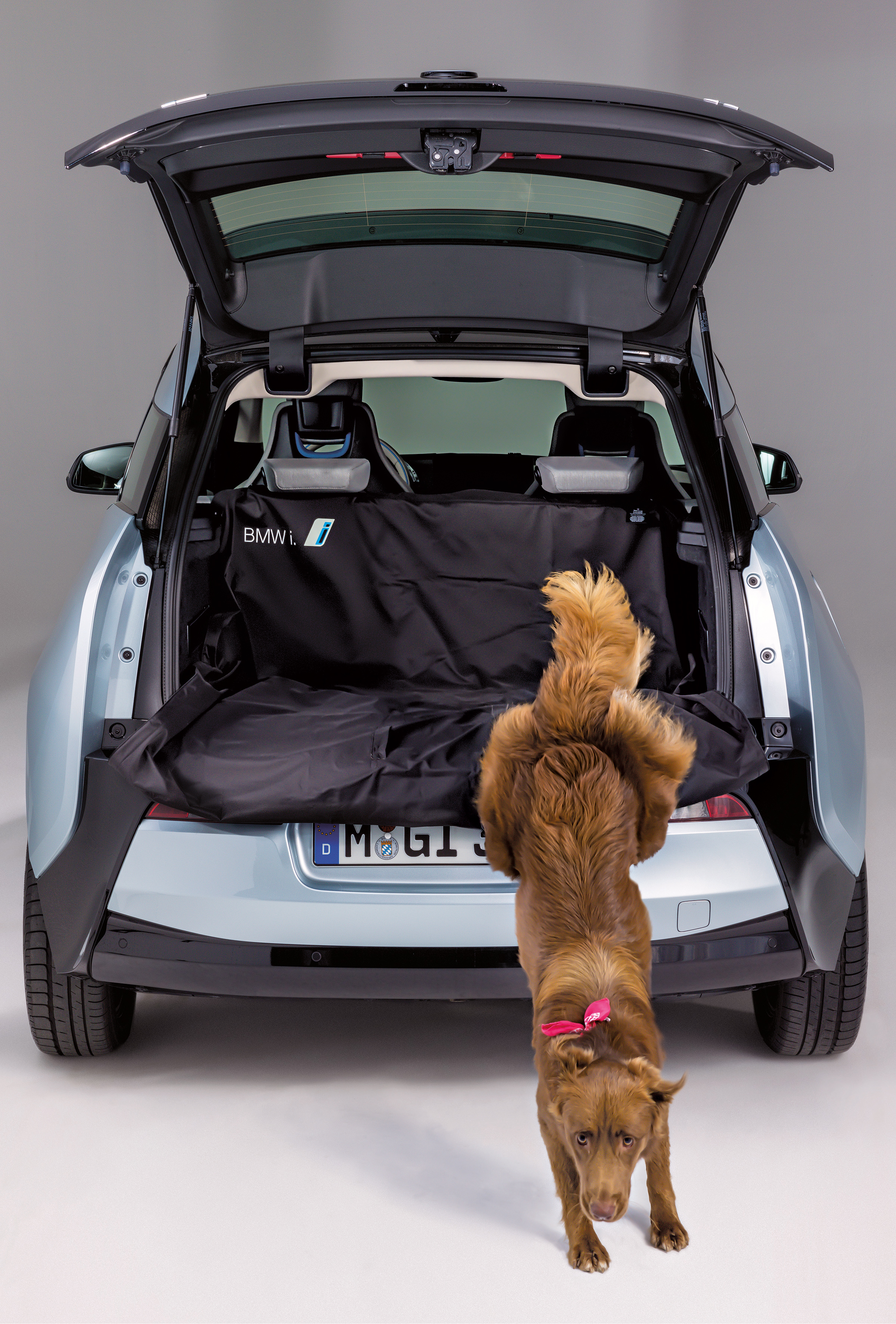 Bmw i3 shop dog