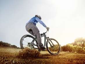 BMW Mountainbike 2014 (02/2014).